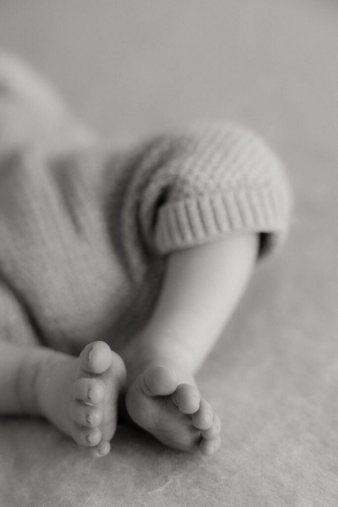 Newborn Familienfotografie im Tageslichtstudio modern, clean und natürlich